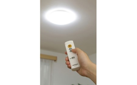 ライト LEDシーリングライト SeriesL 6畳調光 CEA-2006D 照明 アイリスオーヤマ
