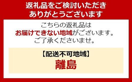 耐熱ガラス容器2点セット TGS-2S クリア