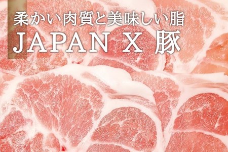 シェフの週末ハンバーグ デミグラスソース　6個セット