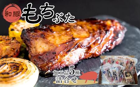 豚肉 和豚もちぶた 加工品5種詰合せ ( モモ味噌漬け & モモ塩糀漬け & 肩ロース味噌漬け & 肩ロース塩糀漬け × 各3パック & スペアリブ2本 × 1パック )