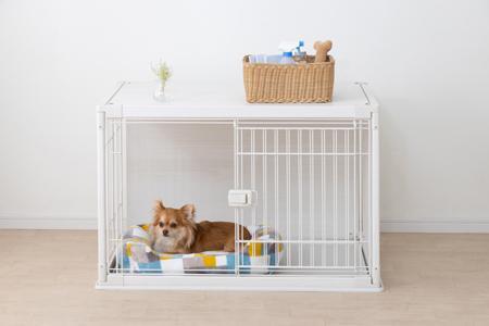 インテリアウッディサークル アイリスオーヤマ 犬サークル おしゃれ 超小型犬～小型犬 幅97.5cm PIWS-960 ホワイト