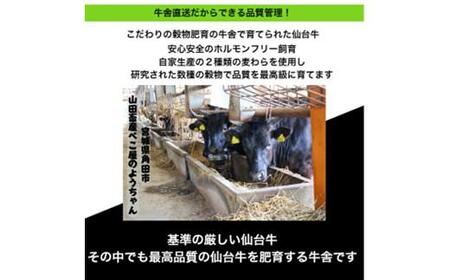 仙台牛 牛スジ煮込み 300グラム4個セット 牛肉 仙台牛 和牛 牛スジ 冷凍