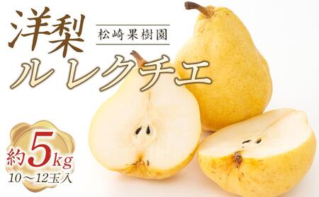 洋梨「ル レクチエ」約5kg（10～12玉入）【松崎果樹園】