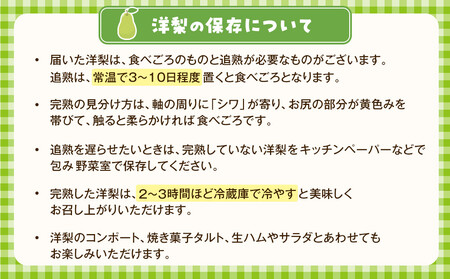 【2026年発送／先行予約】【松崎果樹園】梨「ラ・フランス」約3kg（7～8玉入） ｜ 旬のフルーツ くだもの 梨