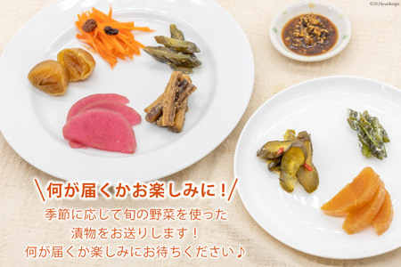 【ふるなびWEEK対象】 無添加 減塩 手作り 漬物 4種 食べ比べ セット [たびのそら 北海道 砂川市 12260516] レビューキャンペーン FN-Limited-PR