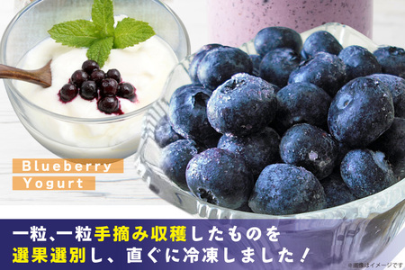 冷凍 ブルーベリー 1kg [ノーザン・ベリーズ 北海道 砂川市 12260395] レビューキャンペーン