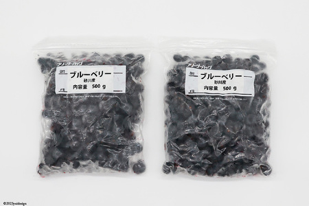 冷凍 ブルーベリー 1kg [三谷果樹園 北海道 砂川市 12260358] 果物 フルーツ