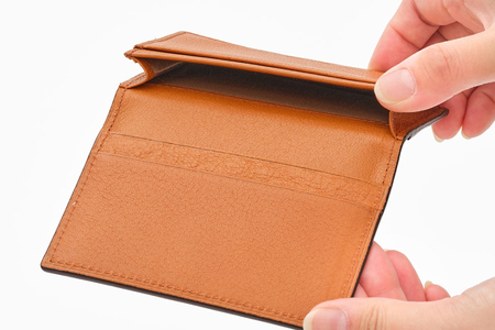 SOMES 名刺入れ (ブラウン) WF-15 [ソメスサドル 北海道 砂川市 12260676-b] レビューキャンペーン