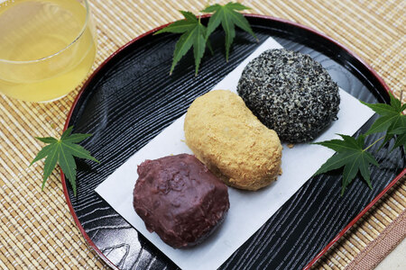 おはぎ 冷凍 よしかわの北海道おはぎ 3種 食べ比べセット つぶあん きなこ ごま 8個入 各2セット 計48個 [吉川食品 北海道 砂川市 12260706] レビューキャンペーン