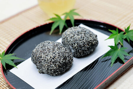 おはぎ 冷凍 よしかわの北海道おはぎ ごま 8個入 6セット 計48個 [吉川食品 北海道 砂川市 12260709] レビューキャンペーン