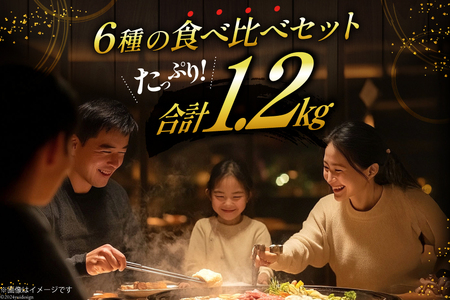 焼肉セット 6種 食べ比べ 200g×6種 計1.2kg [焼肉銀座園 北海道 砂川市 12260736] レビューキャンペーン