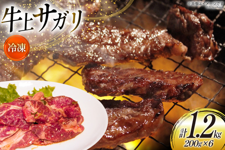サガリ 牛 上サガリ 200g 6パック 計1.2kg [焼肉銀座園 北海道 砂川市 12260732-c] レビューキャンペーン