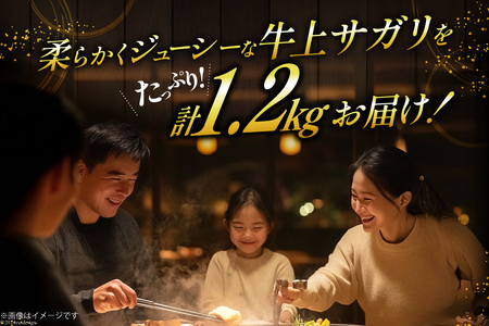 サガリ 牛 上サガリ 200g 6パック 計1.2kg [焼肉銀座園 北海道 砂川市 12260732-c] レビューキャンペーン