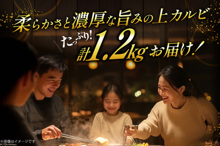 カルビ 焼肉 上カルビ 200g 6パック 計1.2kg [焼肉銀座園 北海道 砂川市 12260730-c] 