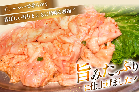 ホルモン 豚 上ホルモン 直腸 みそ味 200g 2パック 計400g [焼肉銀座園 北海道 砂川市 12260735-a] レビューキャンペーン