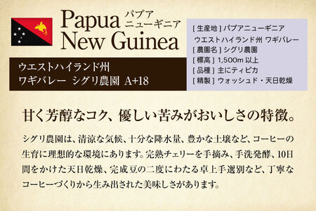 コーヒー豆 自家焙煎 深煎り 100g 2種 計200g  (生豆時) 飲み比べ セット シングルオリジン [フライヤーズ・カンパニー 北海道 砂川市 12260781]  レビューキャンペーン
