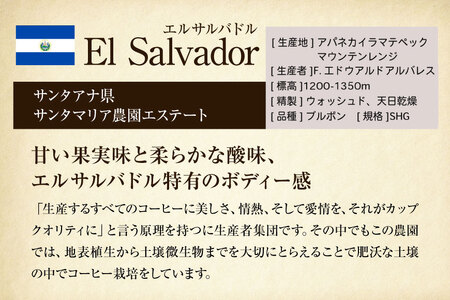 コーヒー豆 自家焙煎 中煎り 100g 2種 計200g  (生豆時) 飲み比べ セット シングルオリジン [フライヤーズ・カンパニー 北海道 砂川市 12260780] レビューキャンペーン