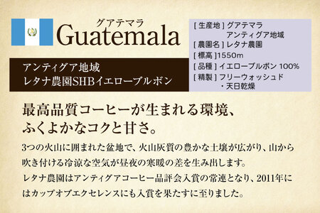 コーヒー豆 自家焙煎 中煎り 100g 2種 計200g  (生豆時) 飲み比べ セット シングルオリジン [フライヤーズ・カンパニー 北海道 砂川市 12260780] レビューキャンペーン