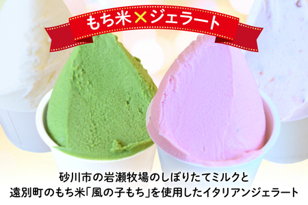 【もち米×ジェラート】もっちー アイスクリーム 4種 計10個 詰め合わせ [シーピーエス 北海道 砂川市 12260807] レビューキャンペーン