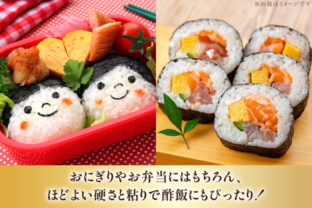 米 令和7年産 JA新すながわ産 ななつぼし 5kg [ホクレン商事 北海道 砂川市 12260894]