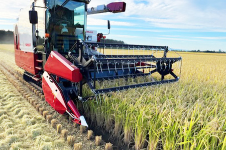 米 新米 令和7年 ゆめぴりか 玄米 30kg [JA新すながわ 北海道 砂川市 12260853] レビューキャンペーン