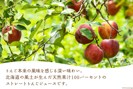 林檎の森ジュース 1,000ml×3本 セット [三谷果樹園 北海道 砂川市 12260542] リンゴ りんご 100% ストレート ジュース