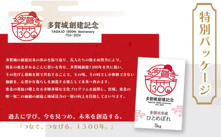 白米 多賀城産ひとめぼれ 精米10kg(5kg×2袋)5年産 【04209-0199】 白米 ひとめぼれ 5年産 白米 宮城米 精米