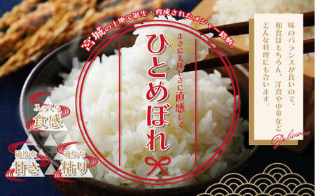 白米 多賀城産ひとめぼれ 精米5kg(5kg×1袋)5年産 【04209-0213】 白米 ひとめぼれ 5年産 白米 宮城米 精米