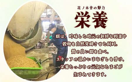 自然飼い　幸せの卵　アローカナ　30個　【04209-0234】 たまご