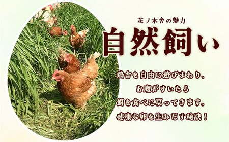 自然飼い　純国産鶏「もみじ」卵　40個入　（Mサイズ）　【04209-0235】　たまご