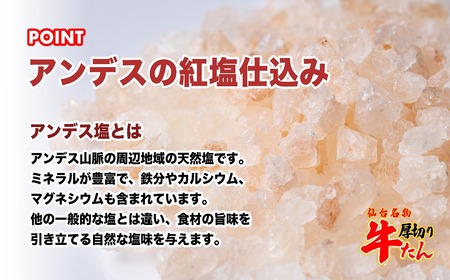 牛タン 仙台名物 特選厚切牛タン8mm醤油たれ600g+国産南蛮味噌100g 【04209-0246】
