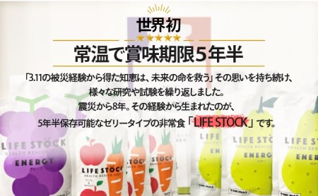 非常食 保存食 LIFE STOCK備蓄ゼリー 3人家族様3日分セット 【04209-0082】 コンパクト 防災食 非常食 保存食 避難食 高カロリー アレルギー対応 水分補給