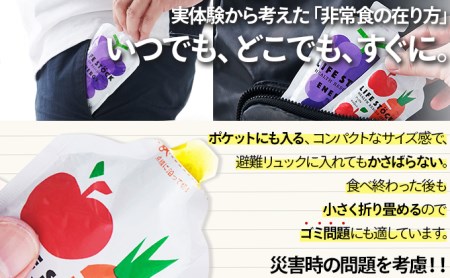 非常食 保存食 LIFE STOCK備蓄ゼリー 3人家族様3日分セット 【04209-0082】 コンパクト 防災食 非常食 保存食 避難食 高カロリー アレルギー対応 水分補給