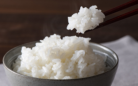 【令和7年産】多賀城市産郷古農園ひとめぼれ　精米5kg（5kg×1袋）　【04209-0280】