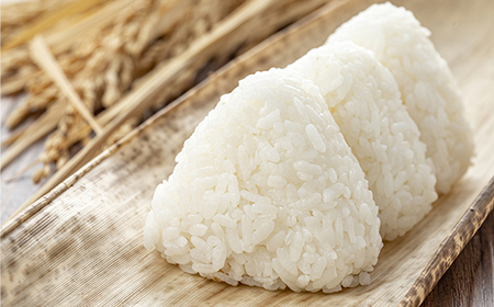 【令和7年産】多賀城市産郷古農園ひとめぼれ　精米5kg（5kg×1袋）　【04209-0280】