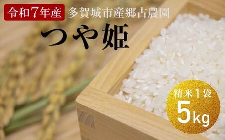 【令和7年産】多賀城市産郷古農園つや姫　精米5kg（5kg×1袋）　【04209-0281】