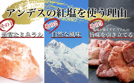 牛タン 【定期便：年3回】仙台名物牛たん塩・味噌1.8㎏(600g×3回)　【04209-0168】たん元 たん中 焼肉 たん塩 焼肉 牛肉 冷凍 BBQ 厚切り 