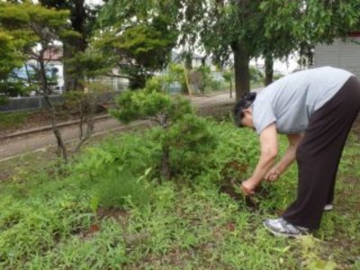 【岩沼市】空き家管理サービスB(見回り・ゴミ拾いや草刈・報告)