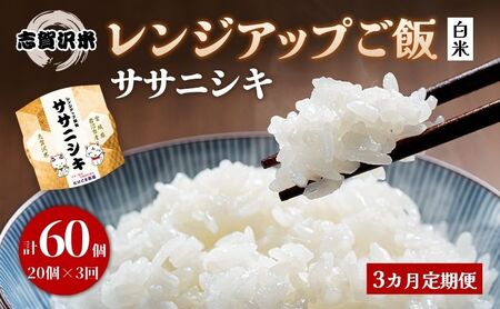 【令和7年産】3ヵ月定期便 ササニシキ 志賀沢米 レンジアップごはん 20個セット お米 米 精米 パックごはん 岩沼市 志賀産白米