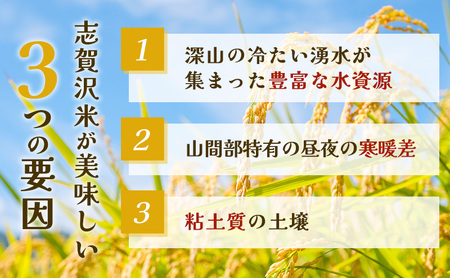 【令和7年産】3ヵ月定期便 ササニシキ 志賀沢米 レンジアップごはん 20個セット お米 米 精米 パックごはん 岩沼市 志賀産