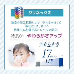 定期便 ティッシュ クリネックス 5箱入 × 6パック 《 6ヶ月ごと計  2回 》 ティッシュ セット