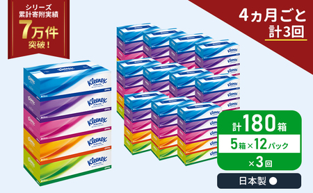 定期便 ティッシュ クリネックス 1ケース ( 5箱入 × 12パック)《4ヶ月ごと計  3回》 ティッシュ セット 10,500円