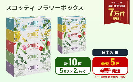 ティッシュ スコッティ フラワーボックス 10箱 ( 5箱 × 2パック ) ティッシュ