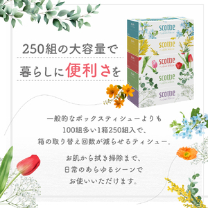 定期便 ティッシュ スコッティ フラワーボックス 40箱 ( 5箱 × 2パック )《 3ヶ月ごと 計 4 回》