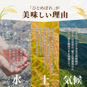 【 令和7年産 】無洗米 ひとめぼれ 5kg 岩沼産 白米 東北 宮城県産 宮城米