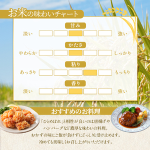 【 令和7年産/ 2ヶ月連続定期便 】 無洗米 ひとめぼれ 5kg × 2回 岩沼産 白米 東北 宮城県産 宮城米