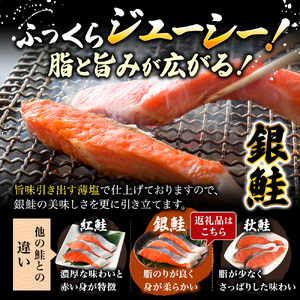 【 2ヶ月 連続 定期便 】訳あり 銀鮭 切り身 1kg セット 詰め合わせ 鮭 サケ