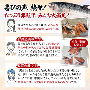 【 2ヶ月 連続 定期便 】訳あり 銀鮭 切り身 1kg セット 詰め合わせ 鮭 サケ