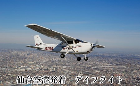 遊覧飛行(仙台/デイフライト)
