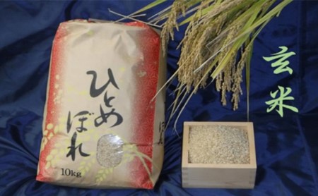 【林ライス】令和4年度米 岩沼産 ひとめぼれ 玄米 10kg